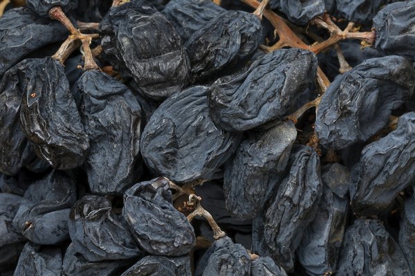 Où participer à des vendanges traditionnelles dans la vallée du Douro, Portugal?